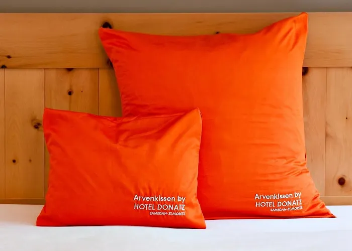 Otel Donatz Samedan